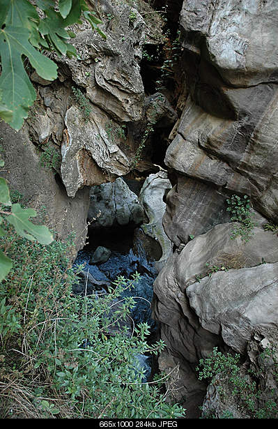 Click image for larger version. 

Name:	DSC_8715.jpg 
Views:	43 
Size:	284.1 KB 
ID:	18552