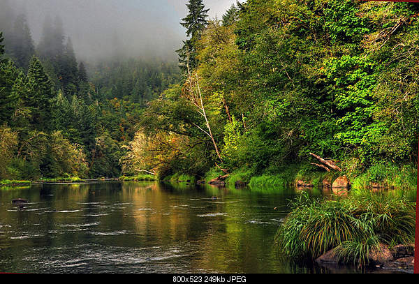 Click image for larger version. 

Name:	Siusailaw River Mapleton Oregon.jpg‎ 
Views:	81 
Size:	248.8 KB 
ID:	19117