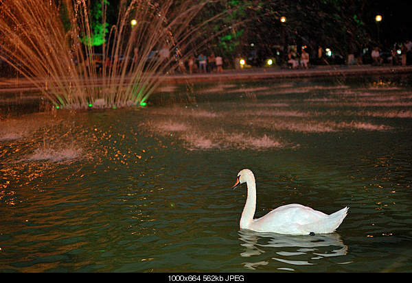 Click image for larger version. 

Name:	DSC_8122.jpg 
Views:	60 
Size:	562.5 KB 
ID:	19873
