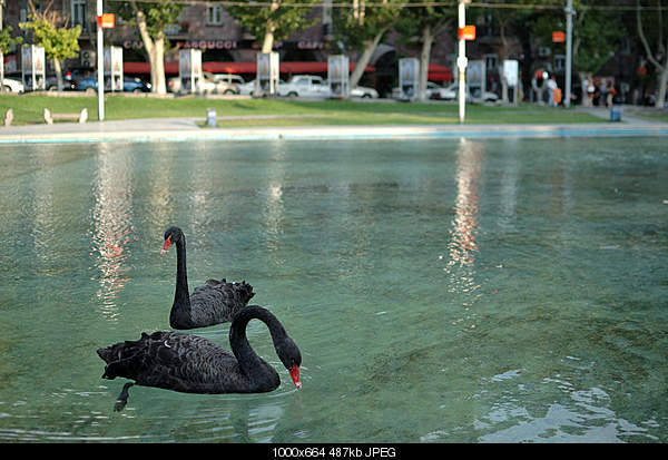 Click image for larger version. 

Name:	DSC_8014.jpg 
Views:	45 
Size:	486.6 KB 
ID:	19874