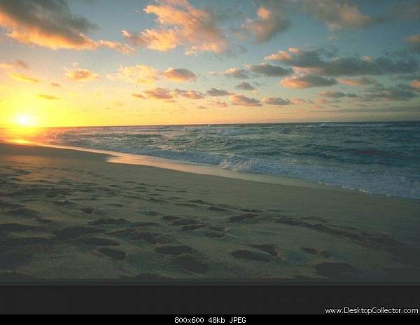 Click image for larger version. 

Name:	Nature_34.jpg 
Views:	153 
Size:	48.3 KB 
ID:	2024