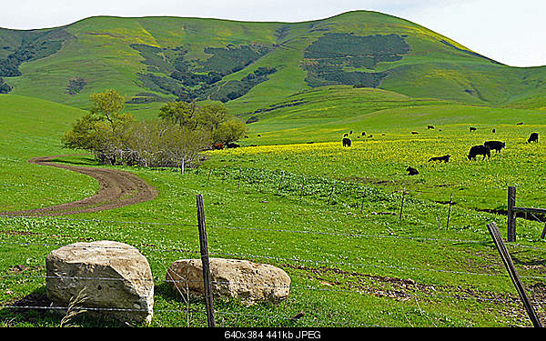 Click image for larger version. 

Name:	Saturday March 1, 2008 Nipomo, CA.jpg‎ 
Views:	77 
Size:	440.6 KB 
ID:	21484