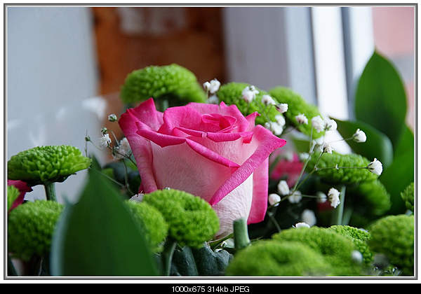 Click image for larger version. 

Name:	1014966.jpg 
Views:	141 
Size:	313.9 KB 
ID:	21992