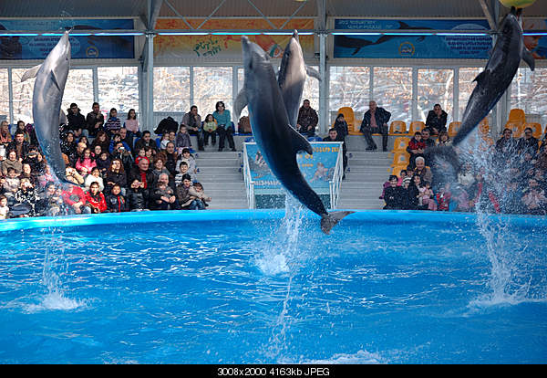 Click image for larger version. 

Name:	DSC_0319.jpg 
Views:	65 
Size:	4.07 MB 
ID:	22180