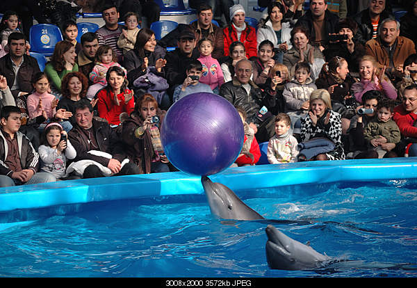 Click image for larger version. 

Name:	DSC_0325.jpg 
Views:	49 
Size:	3.49 MB 
ID:	22181