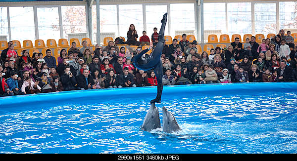 Click image for larger version. 

Name:	DSC_0451.jpg 
Views:	53 
Size:	3.38 MB 
ID:	22182
