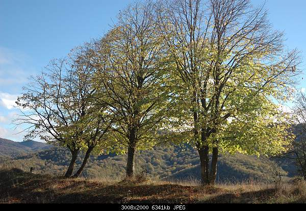 Click image for larger version. 

Name:	DSC_9284.jpg 
Views:	175 
Size:	6.19 MB 
ID:	22274