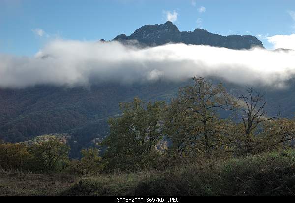 Click image for larger version. 

Name:	DSC_9294.jpg 
Views:	46 
Size:	3.57 MB 
ID:	22325