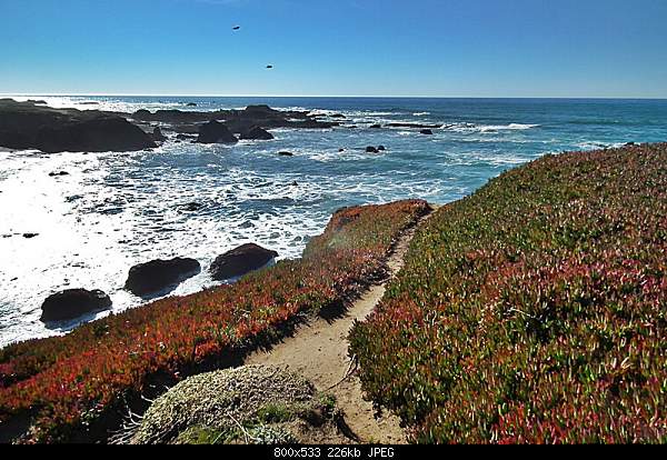 Click image for larger version. 

Name:	Wednesday February 9, 2011 — Fort Bragg, CA.jpg‎ 
Views:	80 
Size:	225.8 KB 
ID:	22845