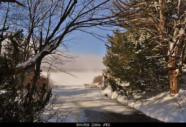 Click image for larger version. 

Name:	Tuesday February 8, 2011 — Promised Land Lake, Pike County, PA.jpg‎ 
Views:	71 
Size:	225.9 KB 
ID:	22846