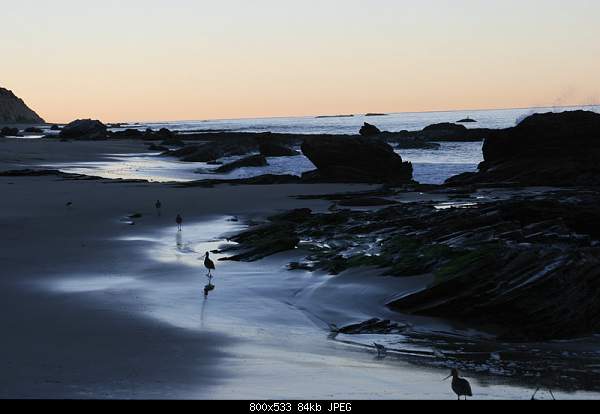 Click image for larger version. 

Name:	Saturday February 12, 2011 — Crystal Cove, ca.jpg‎ 
Views:	75 
Size:	84.0 KB 
ID:	22937