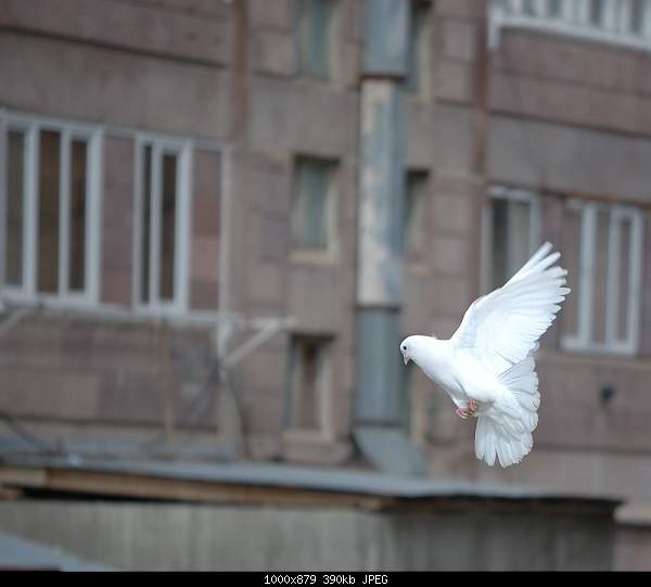 Click image for larger version. 

Name:	DSC_4503.jpg 
Views:	95 
Size:	390.3 KB 
ID:	23473