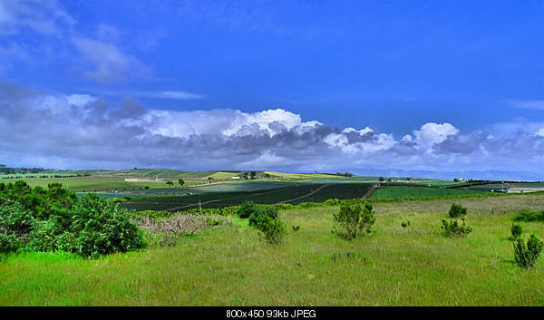 Click image for larger version. 

Name:	Monday March 28, 2011 — Pajaro, CA.jpg‎ 
Views:	53 
Size:	92.5 KB 
ID:	24724