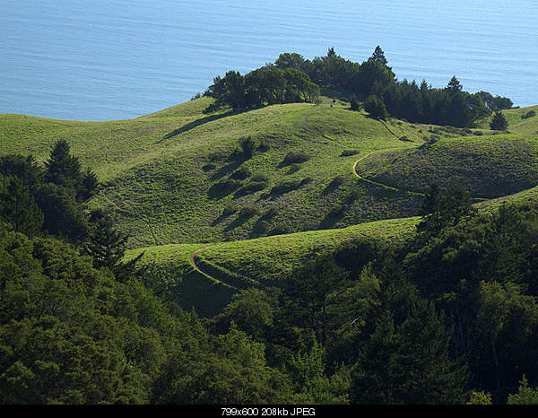 Click image for larger version. 

Name:	Thursday March 31, 2011 — Mill Valley, CA.jpg‎ 
Views:	38 
Size:	208.2 KB 
ID:	24727