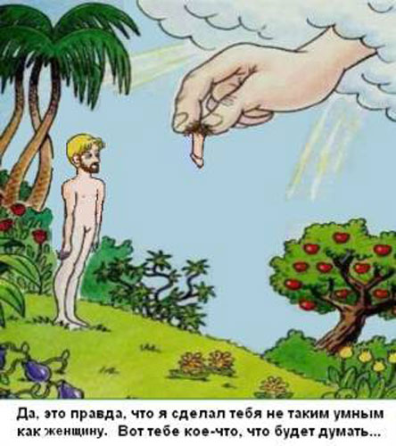 Name:  adam1.jpg
Views: 243
Size:  55.6 KB