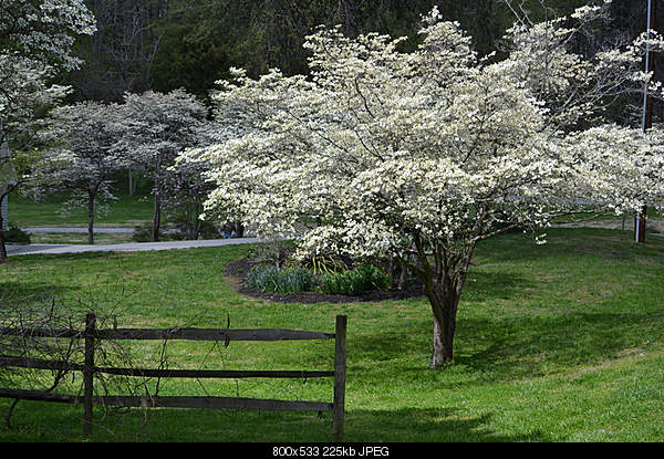 Click image for larger version. 

Name:	Monday April 4, 2011 — Friendsville, TN.jpg‎ 
Views:	89 
Size:	225.2 KB 
ID:	24963
