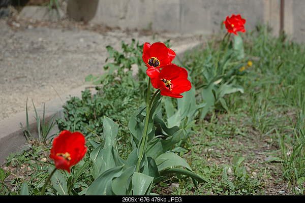 Click image for larger version. 

Name:	DSC_0872.jpg 
Views:	35 
Size:	479.5 KB 
ID:	25595