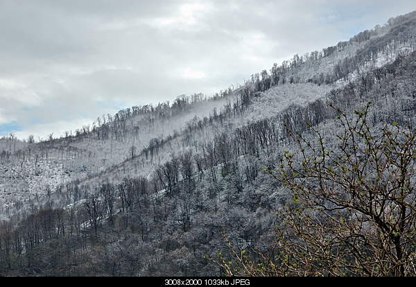Click image for larger version. 

Name:	DSC_0937.jpg 
Views:	68 
Size:	1.01 MB 
ID:	25659