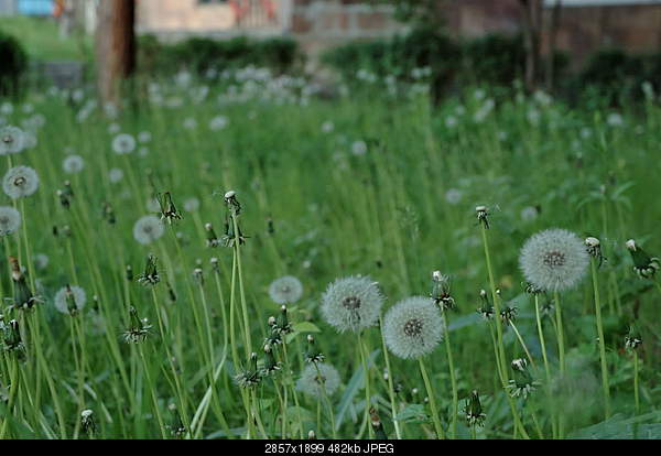 Click image for larger version. 

Name:	DSC_1329.jpg 
Views:	55 
Size:	481.7 KB 
ID:	26754