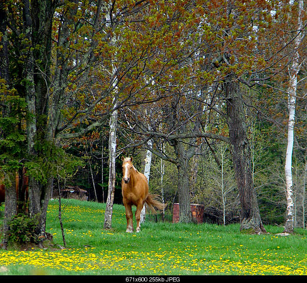 Click image for larger version. 

Name:	Friday May 20, 2011 — Chisholm, MN.jpg‎ 
Views:	54 
Size:	254.6 KB 
ID:	26775