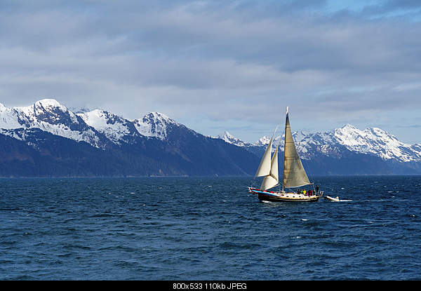 Click image for larger version. 

Name:	Sailboat in Resurrection Bay, Seward AK..jpg‎ 
Views:	65 
Size:	110.5 KB 
ID:	26802