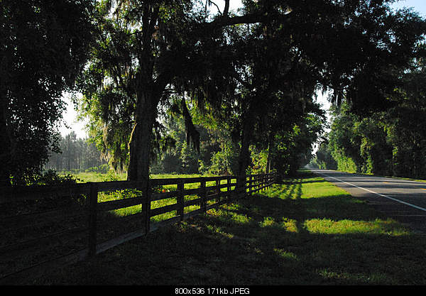 Click image for larger version. 

Name:	Monday May 30, 2011 — Newberry, FL.jpg‎ 
Views:	52 
Size:	170.6 KB 
ID:	27240
