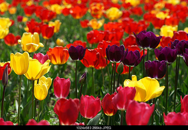 Click image for larger version. 

Name:	1080388.jpg 
Views:	51 
Size:	265.9 KB 
ID:	27319