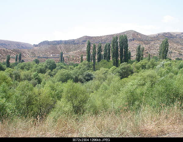 Click image for larger version. 

Name:	P8130009.JPG 
Views:	109 
Size:	1.27 MB 
ID:	27740
