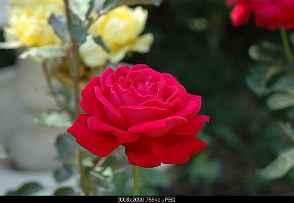 Click image for larger version. 

Name:	DSC_2716.JPG 
Views:	44 
Size:	755.0 KB 
ID:	27764