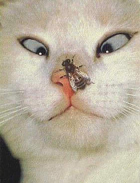 Name:  022-2.jpg
Views: 322
Size:  19.7 KB