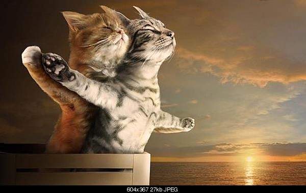Click image for larger version. 

Name:	307735_303689859642466_200102360001217_1266515_662627543_n.jpg 
Views:	77 
Size:	27.3 KB 
ID:	29165