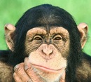 Name:  m_2f50b3bb.jpg
Views: 1692
Size:  8.1 KB