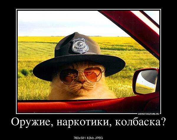 Click image for larger version. 

Name:	y_7f361419.jpg 
Views:	104 
Size:	81.8 KB 
ID:	29341