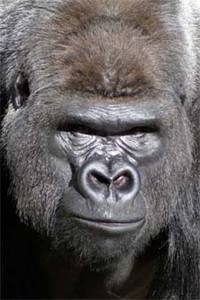 Name:  gorilla_.jpg
Views: 241
Size:  11.9 KB