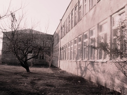 Name:  0_7501_239cdda3_L.jpg
Views: 105
Size:  62.1 KB