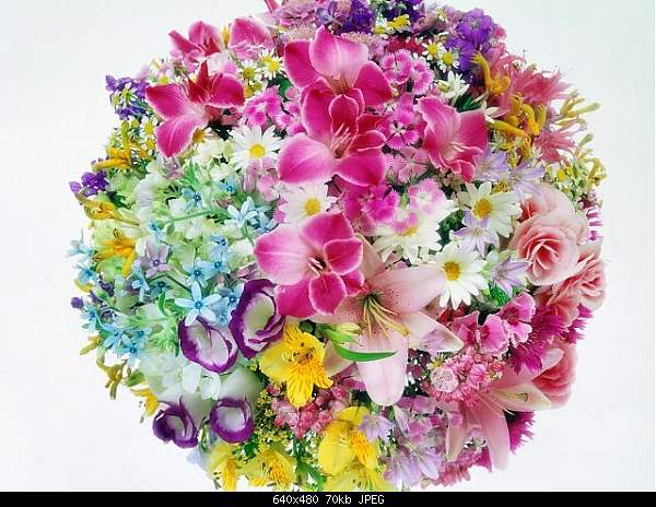 Click image for larger version. 

Name:	bouquet.jpg‎ 
Views:	181 
Size:	69.9 KB 
ID:	473
