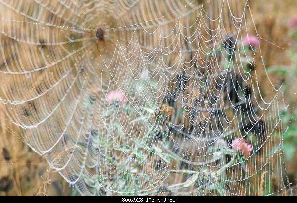 Click image for larger version. 

Name:	011.JPG 
Views:	198 
Size:	102.9 KB 
ID:	599