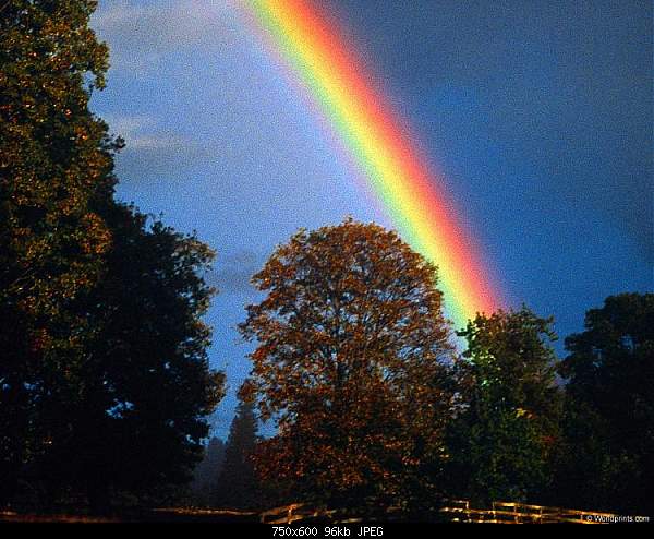 Click image for larger version. 

Name:	RAINBOW.jpg 
Views:	190 
Size:	96.4 KB 
ID:	601