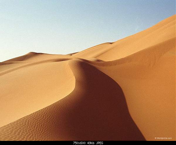 Click image for larger version. 

Name:	DESERT_1.jpg 
Views:	171 
Size:	49.4 KB 
ID:	621