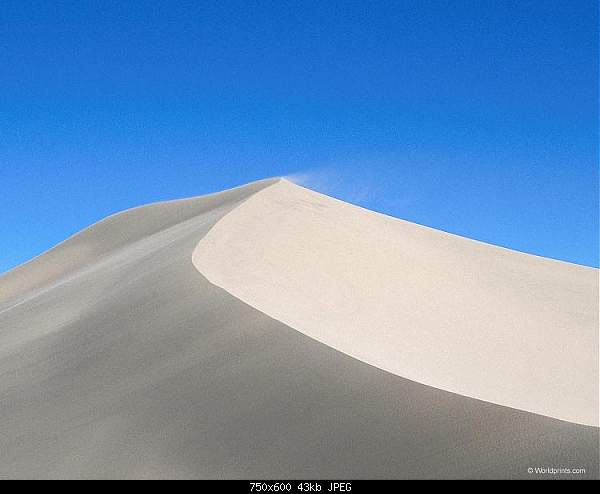 Click image for larger version. 

Name:	sand_dune_5.jpg 
Views:	209 
Size:	42.9 KB 
ID:	623