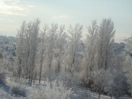 Name:  DSC00711.jpg
Views: 94
Size:  29.9 KB